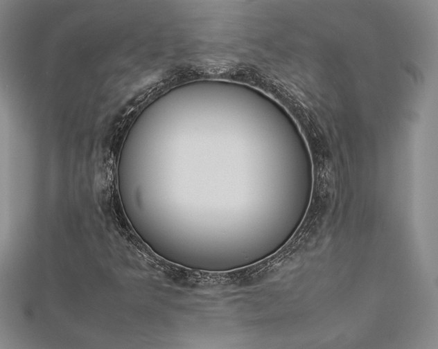 X0000112871349200909041613