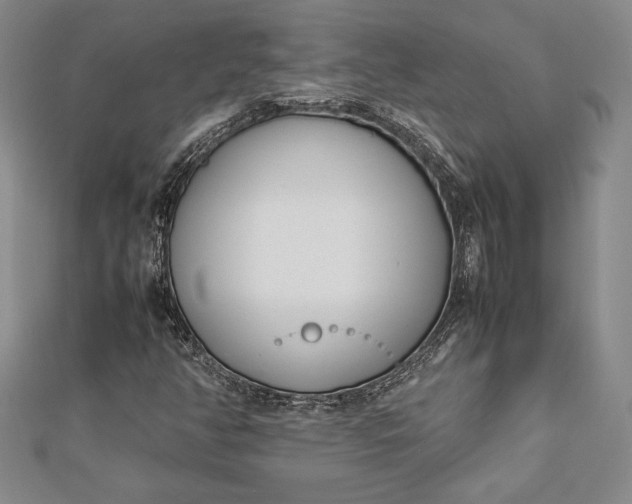 X0000112871350200909041613