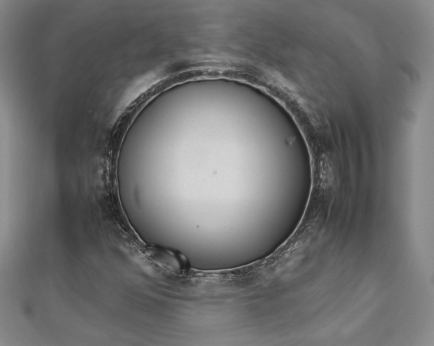 X0000112871352200909041613