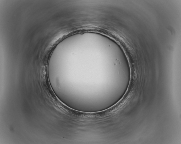 X0000112871355200909041613