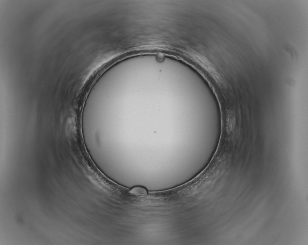 X0000112871356200909041613