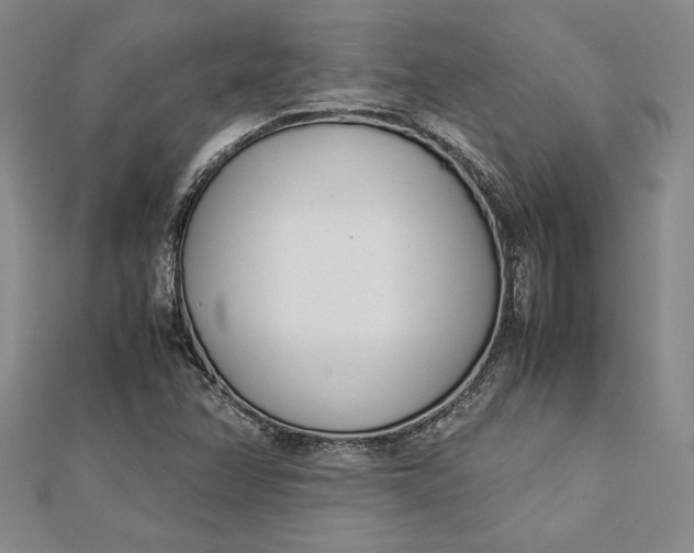 X0000112871358200909041613