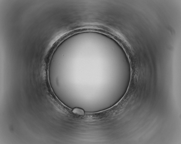 X0000112871360200909041613