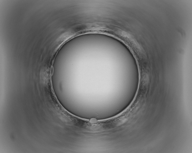 X0000112871361200909041613