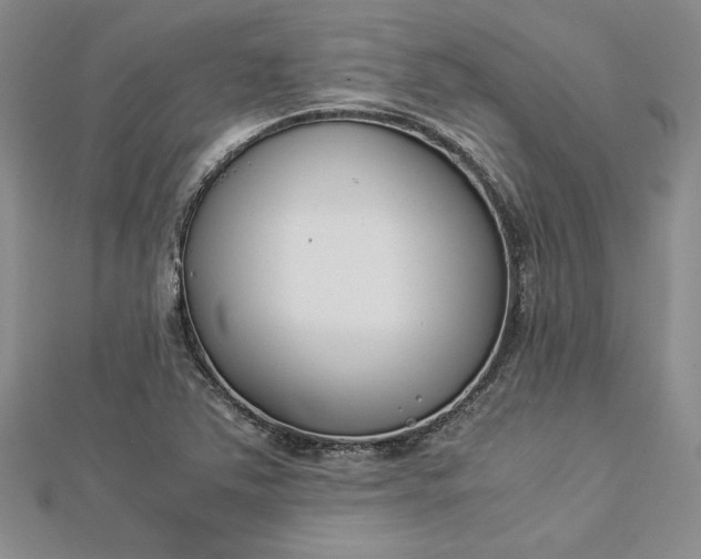 X0000112871363200909041613