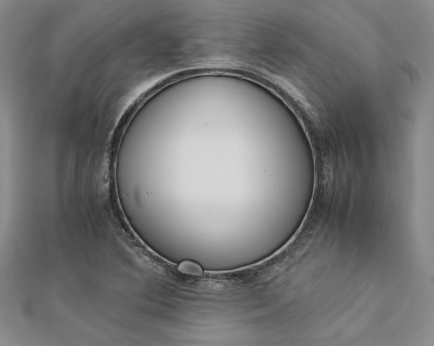 X0000112871364200909041613