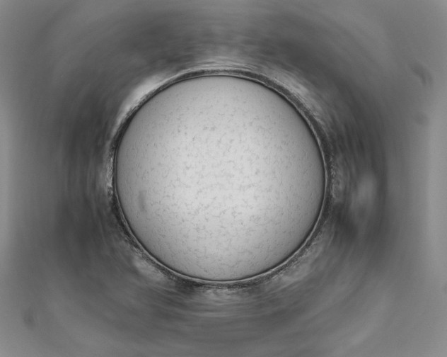 X0000112871366200909041613