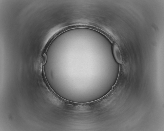 X0000112871368200909041613