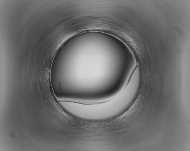 X0000112871369200909041613