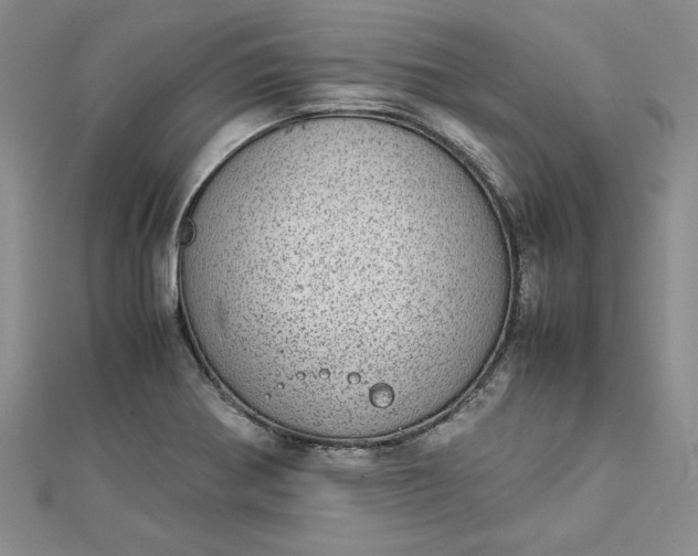 X0000112871370200909041613