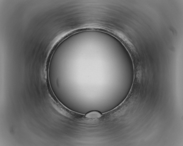 X0000112871372200909041613