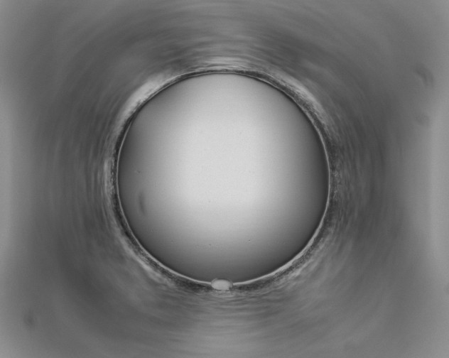 X0000112871373200909041613