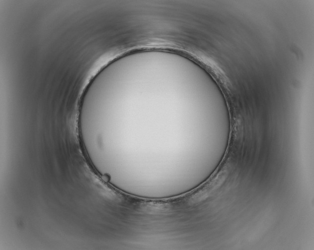 X0000112871374200909041613