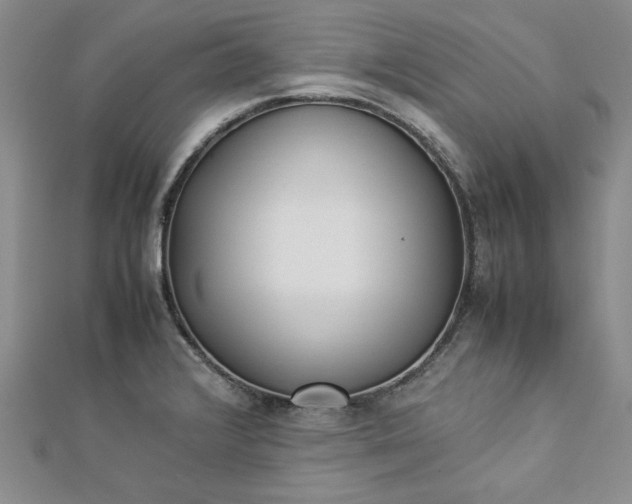 X0000112871376200909041613