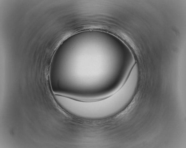 X0000112871377200909041613