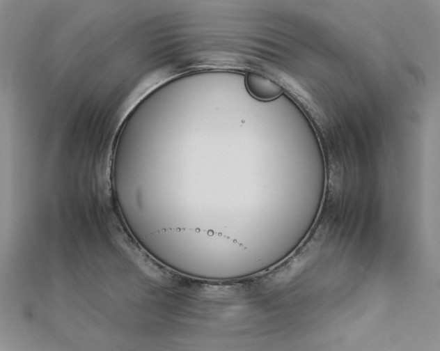 X0000112871378200909041613