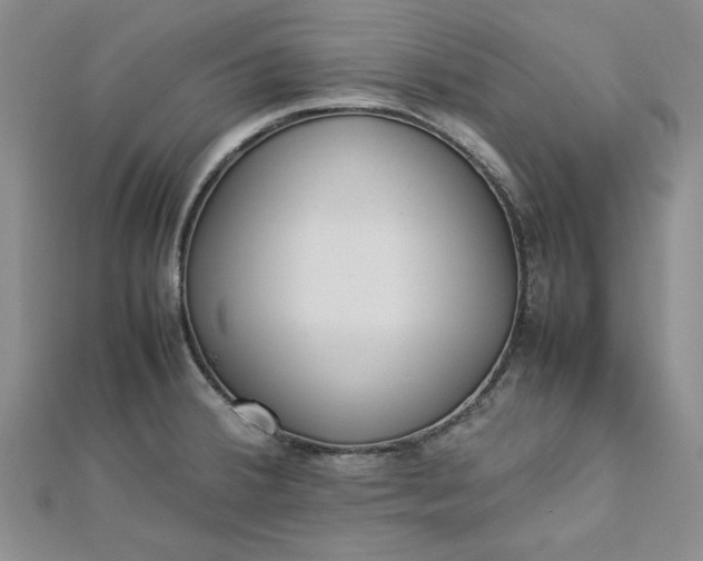 X0000112871380200909041613