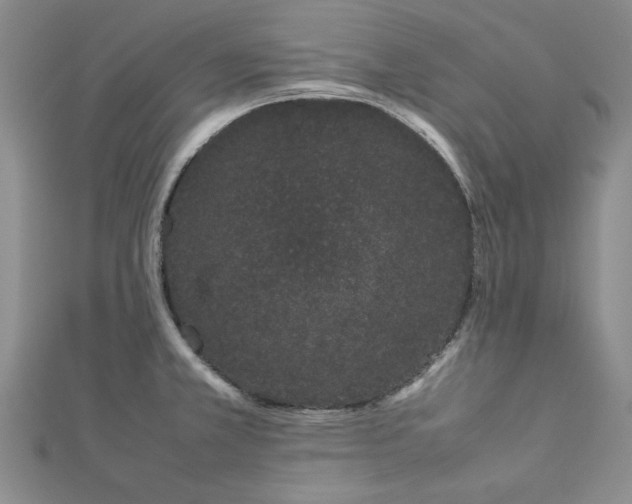 X0000112871381200909041613