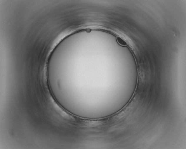 X0000112871382200909041613