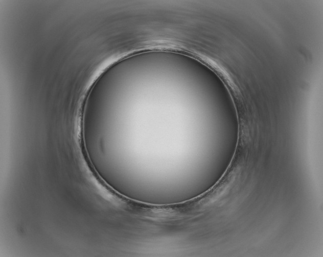 X0000112871383200909041613