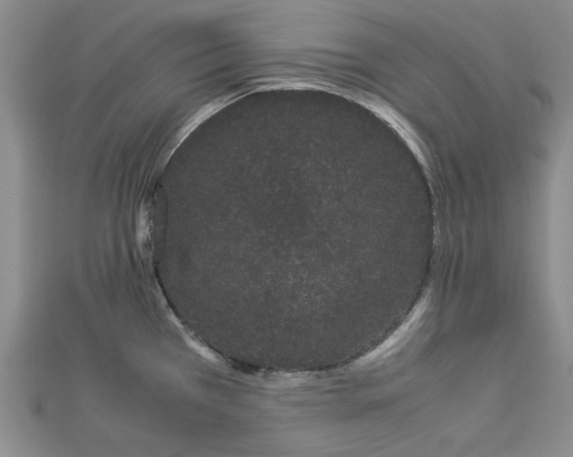 X0000112871385200909041612