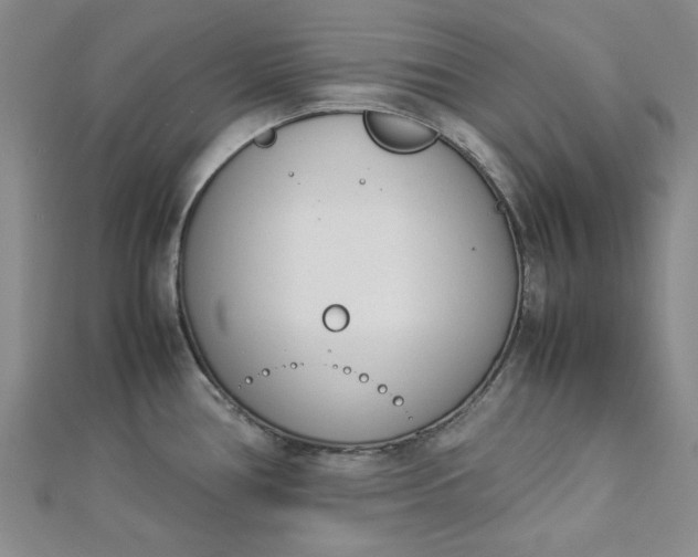 X0000112871386200909041612