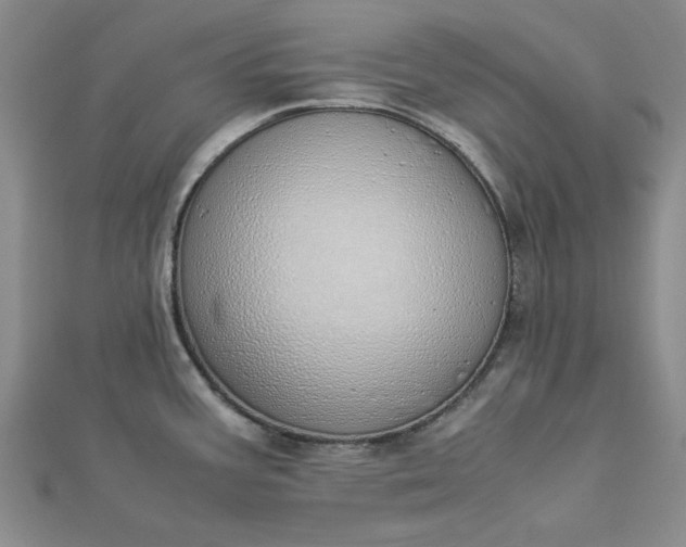 X0000112871387200909041612