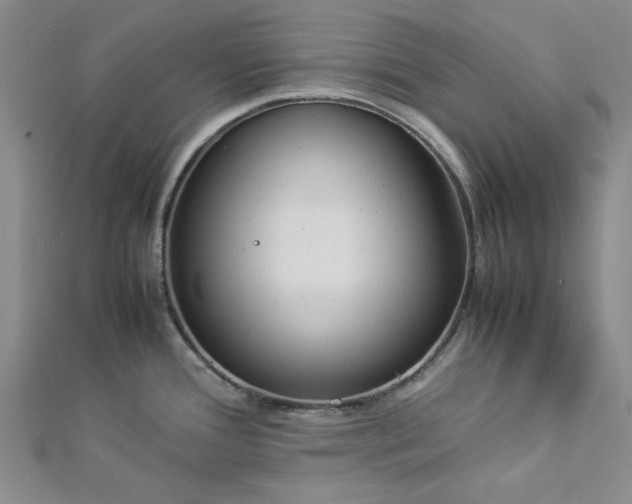 X0000112871388200909041612