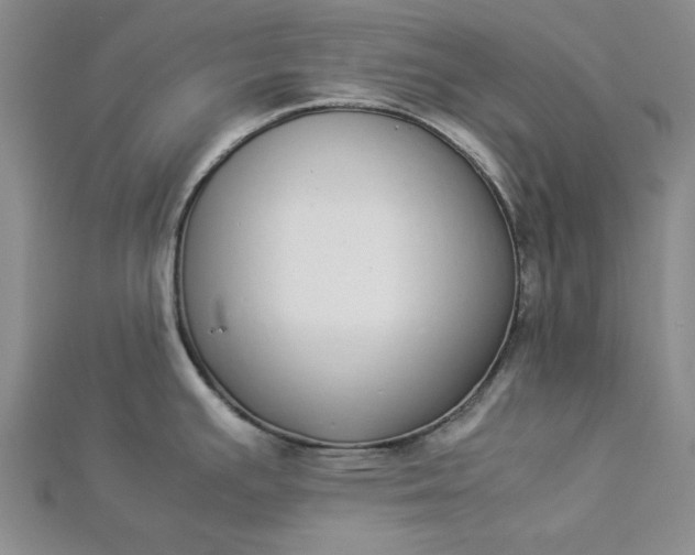 X0000112871391200909041612