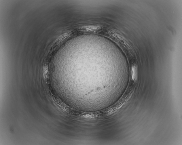 X0000112871395200909041612