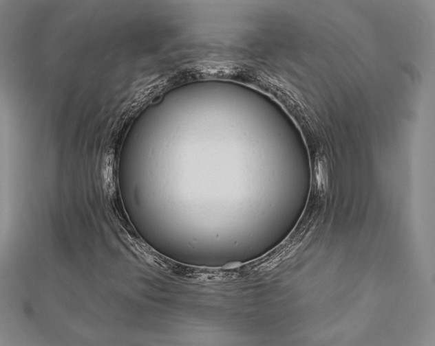 X0000112871396200909041612