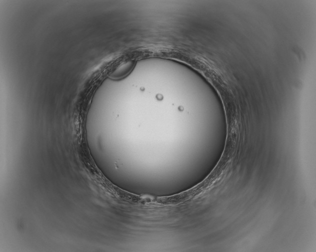 X0000112871398200909041612