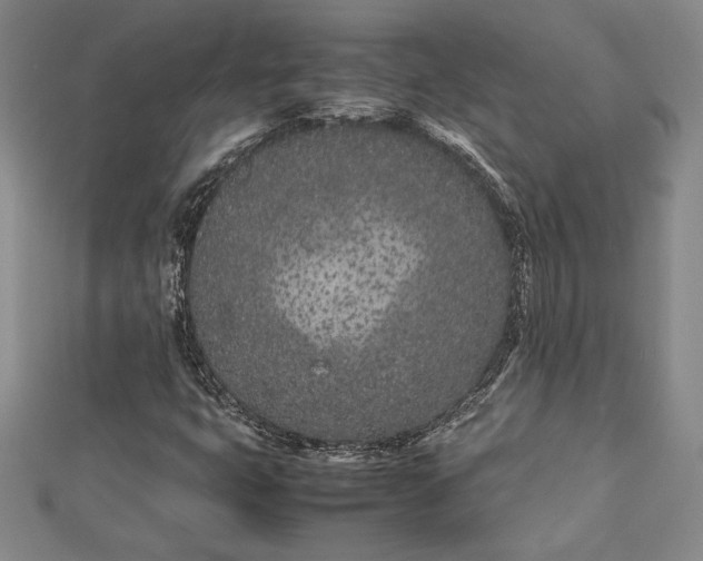 X0000112871399200909041612