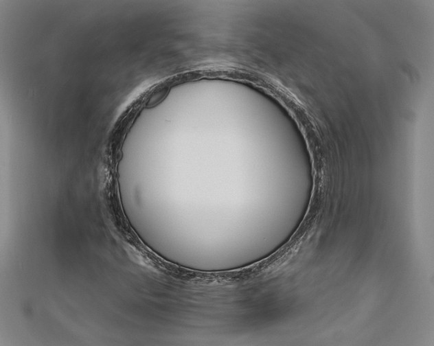 X0000112871400200909041612