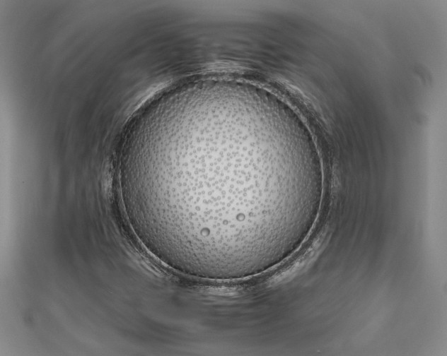 X0000112871401200909041612