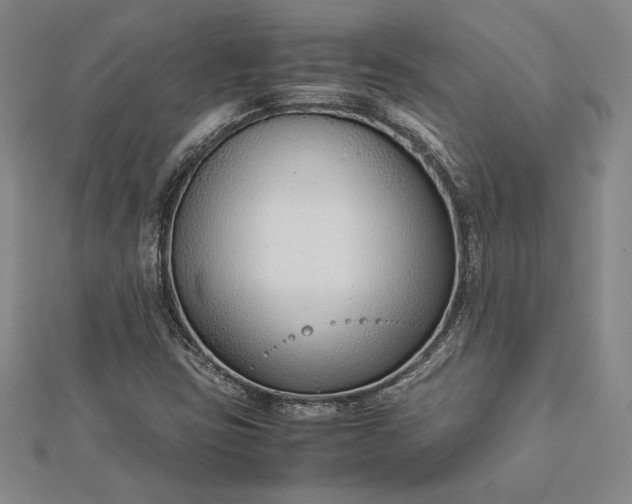 X0000112871403200909041612