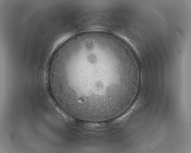 X0000112871405200909041612