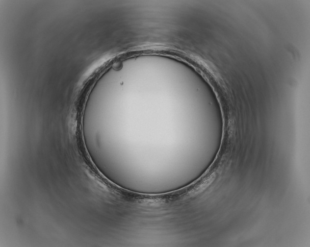 X0000112871406200909041612