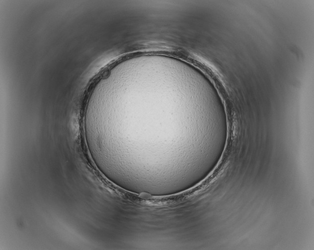 X0000112871407200909041612