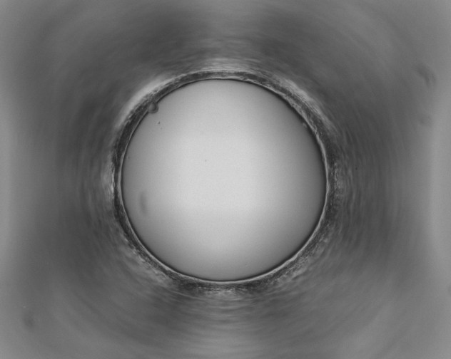 X0000112871408200909041612