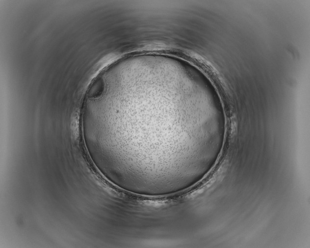 X0000112871409200909041612