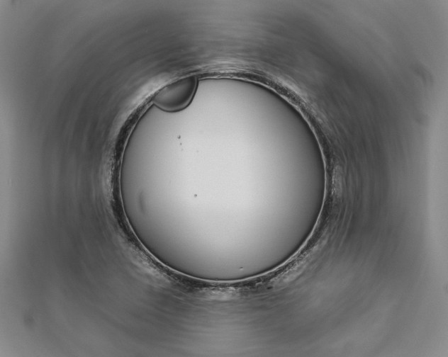 X0000112871410200909041612