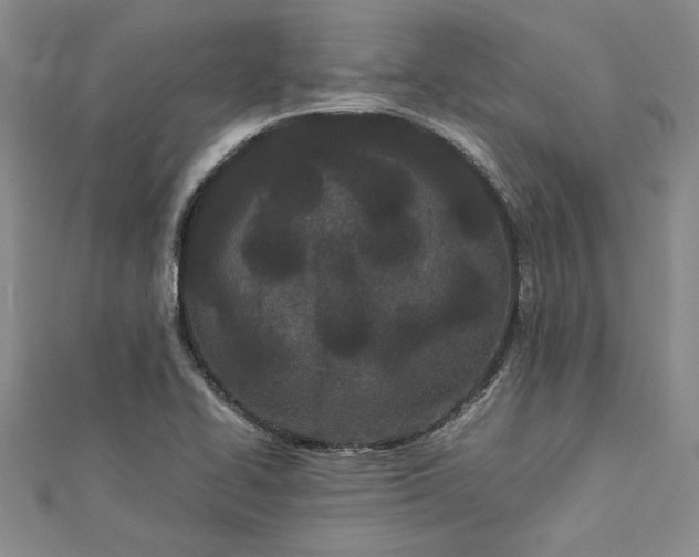 X0000112871414200909041612