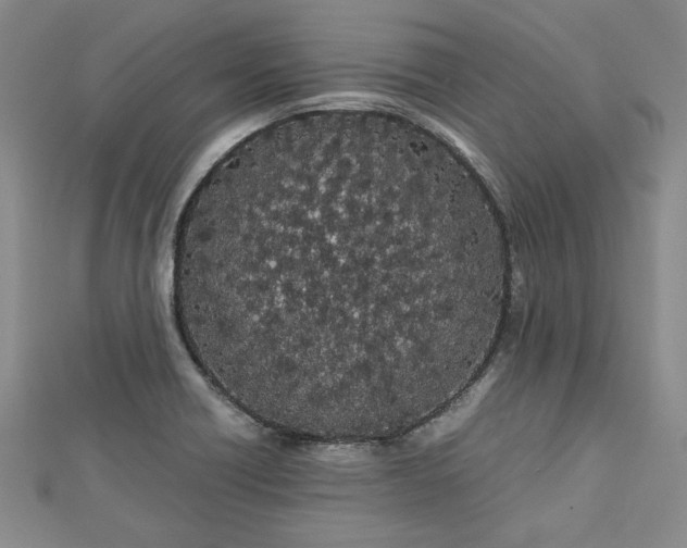 X0000112871418200909041612