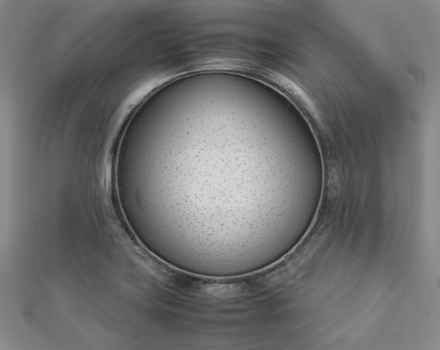 X0000112871419200909041612