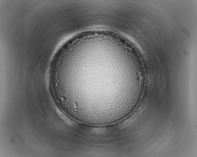 X0000112871421200909041612