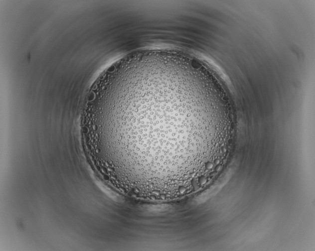 X0000112871425200909041612