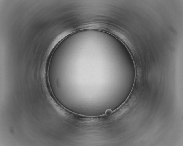 X0000112871426200909041612