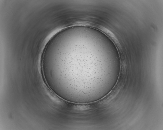 X0000112871427200909041612