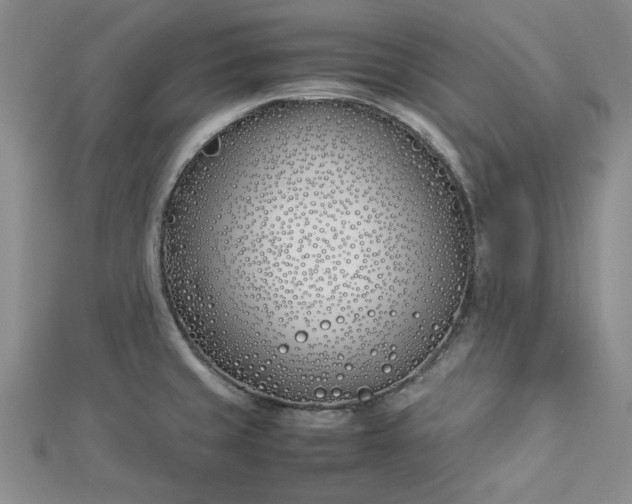 X0000112871429200909041612